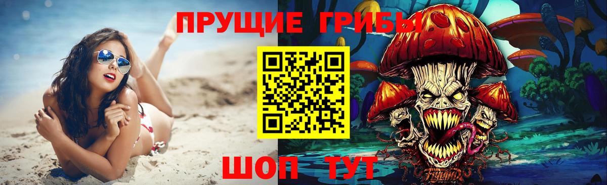 Артём  Псилоцибиновые грибы прущие грибы  Псилоцибиновые грибы прущие грибы  Вход с VPN 