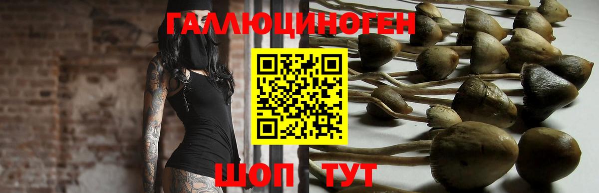 Галлюциногенные грибы Cubensis  Артём 