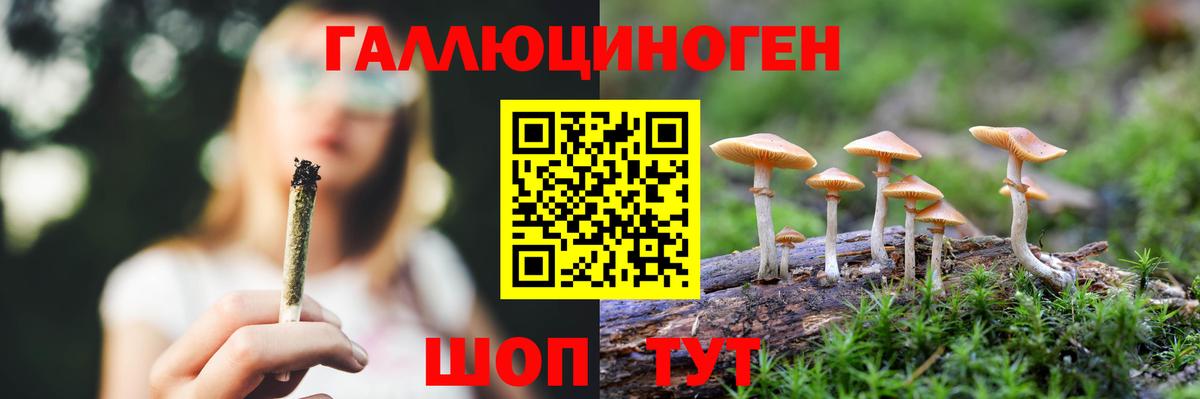 Псилоцибиновые грибы мицелий Артём